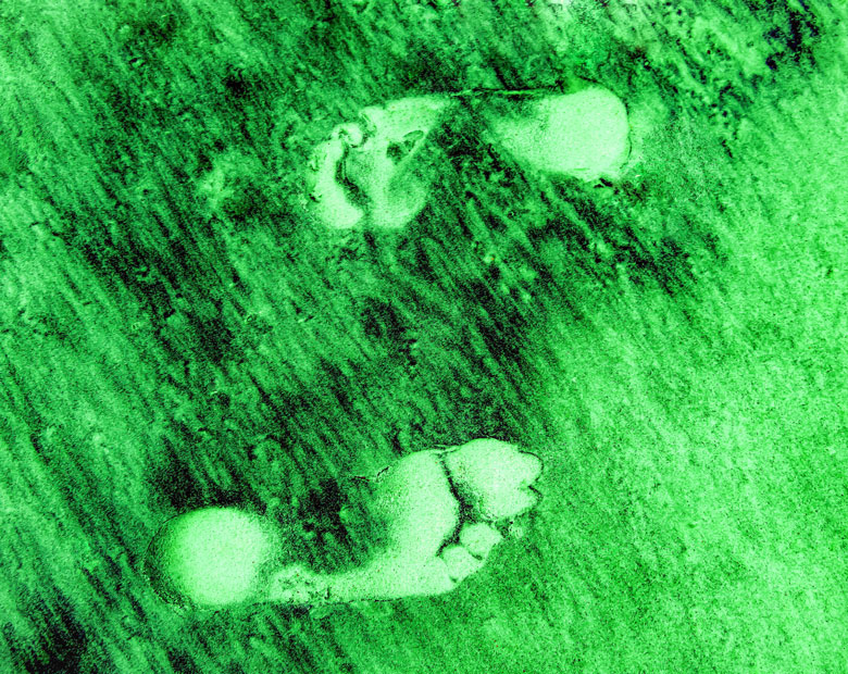 two-footprints-in-the-green-and-black-colored-san-2022-11-01-07-06-39-utc